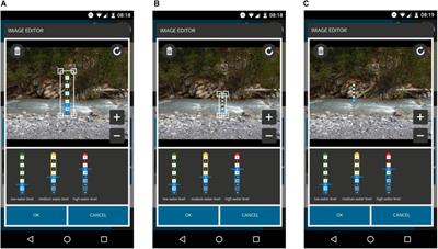 Virtual Staff Gauges for Crowd-Based Stream Level Observations